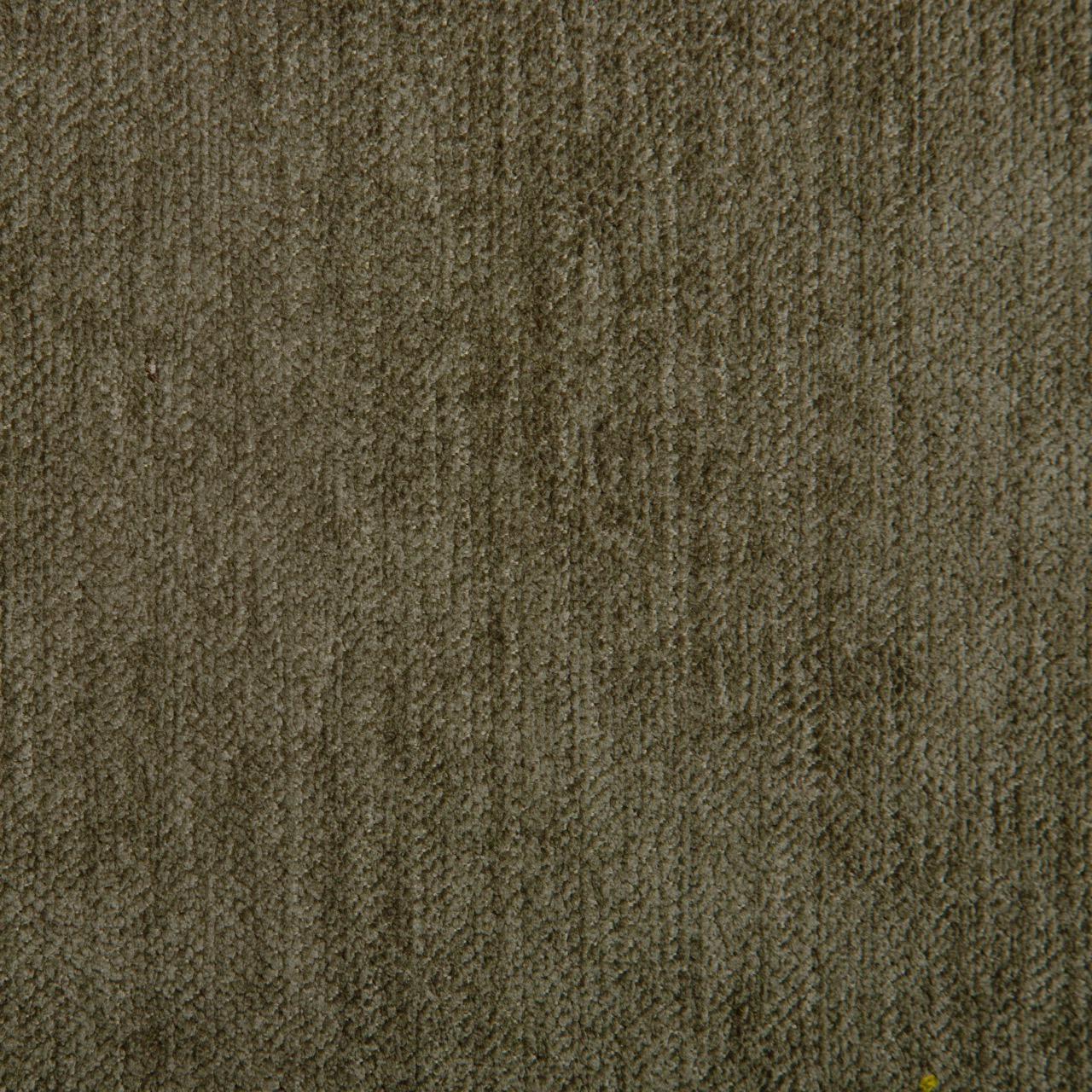 Titan 43